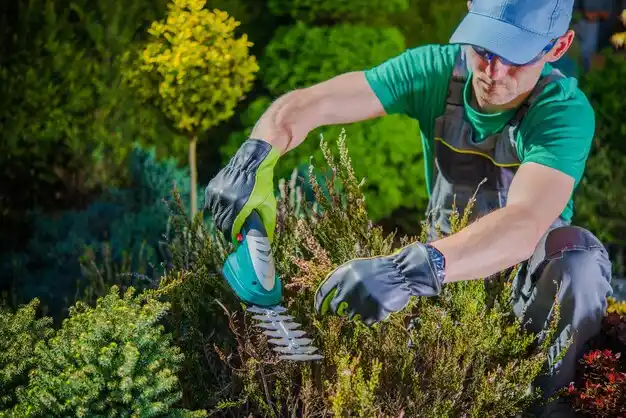 landscaping services Mancelona